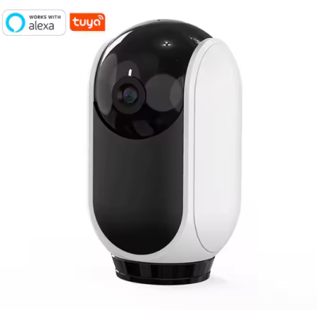 2MP Indoor Home Mini Smart Night Vision PTZ